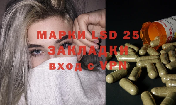 ПСИЛОЦИБИНОВЫЕ ГРИБЫ Алексин
