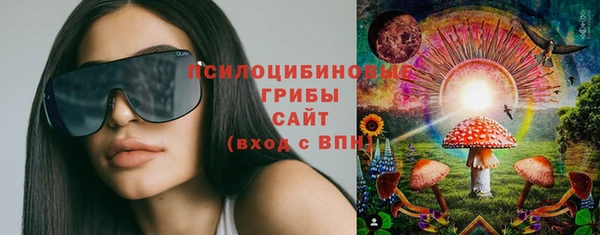 ПСИЛОЦИБИНОВЫЕ ГРИБЫ Алексин
