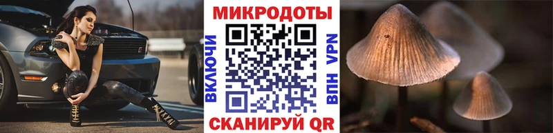 Псилоцибиновые грибы мицелий  цены   ОМГ ОМГ зеркало  Суровикино 
