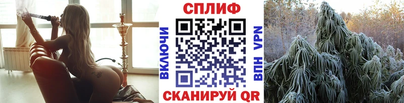 сколько стоит  Суровикино  Марихуана сатива 